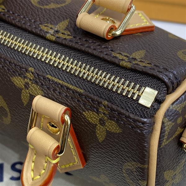 2026120163137326 810